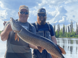 Northern pike in Lake Michigan